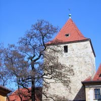 Torre Negra - Free Tour Praga Torre Negra - Free Tour Praga